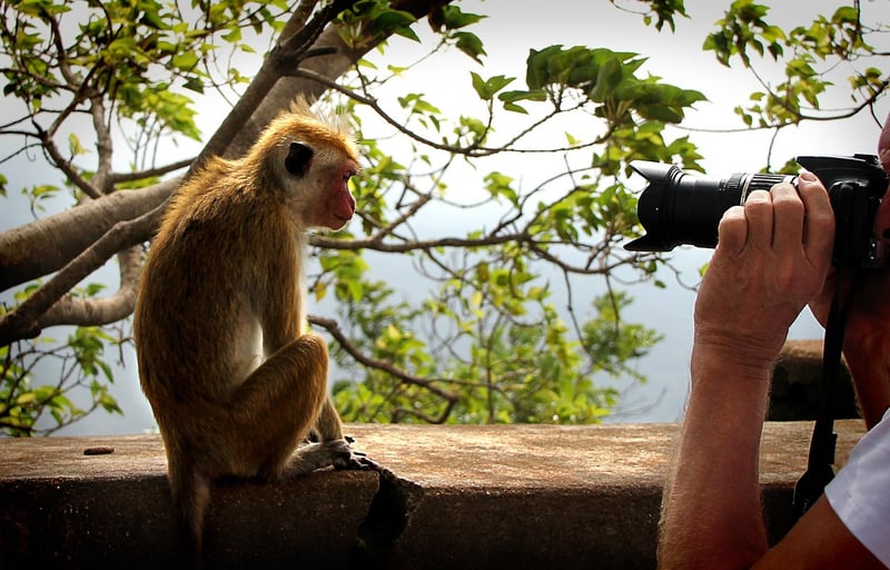 Behind the Scenes